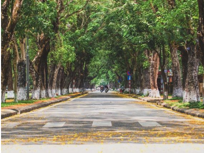 Mùa thu cũng là lúc những chiếc lá xa rời cành cây