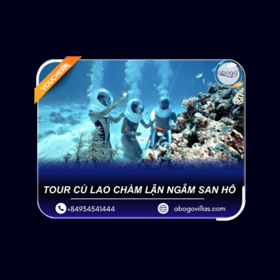 TOUR CÙ LAO CHÀM lặn ngắm san hô