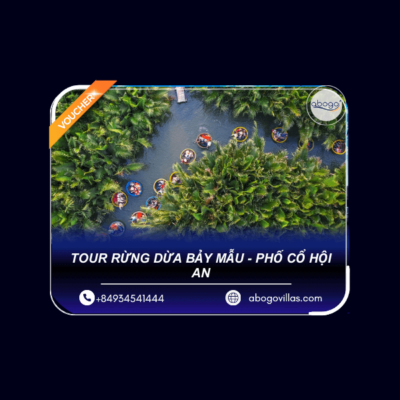 tour RỪNG DỪA BẢY MẪU - phố cổ hội an